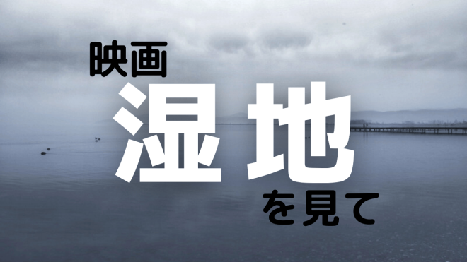 映画 湿地